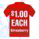 JPSO7 Jenray Smelly Shirts Strawberry Overlay