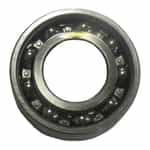 Giant Pumps 01020 Ball Bearing