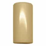 06066 Giant Pumps Ceramic Plunger
