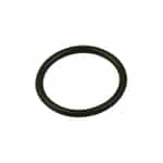 Giant Pumps 07770 Oil Seal O-Ring