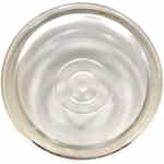 08491 Giant Pumps Sight Glass