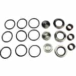 Giant Pumps 09195 Valve Assembly Kit