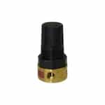 Parker Brass Mini Regulator Parker 20R013FC