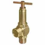 AA110-3/8-1000 Spraying Systems 3/8-Inch Relief Valve