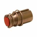 Plunger Assembly
