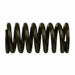 WPD250193111 Hydra-Cell Piston Return Spring