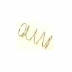 503200 Hydro Systems Magnet Spring