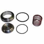 09231 Giant Pumps Inlet Valve Kit