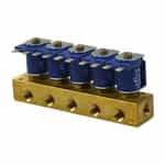 Dema Brass Manifold Valve