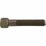 Hydra-Cell 2 3/4" Cap Screw D10-081-2012