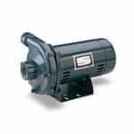 JBHE3-63S Sta-Rite Industrial Centrifugal Pump