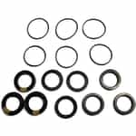 Giant Pumps 09781 Valve Repair Kit