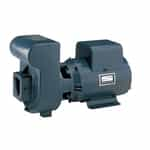 DHE3-50 Sta-Rite Close-Grained Cast Iron Pump