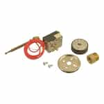 General Pump 100438 Probe Style Thermostat