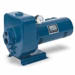 Pentair Sta-Rite Pump HMSF-1FL