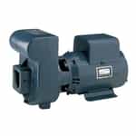 Sta-Rite D Series Pump DHF3-51