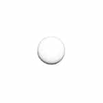 640065 General Pump Ball