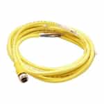 Turck Industrial Cordset RKC 4.4T-4