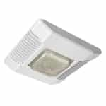 CPY250ADMDBULWH  Ceiling Mount