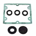 AR North America Oil Seal Kit - AR1872