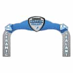 CERAMIC1MCWW Simoniz Ceramic Sealant Arch Package
