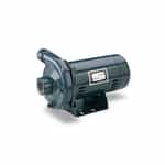 JBHC3-61S Sta-Rite Industrial Centrifugal Pump