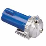 1ST1G4B4 Goulds Pumps NPE Series SS Pump