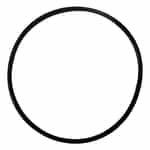 Giant Pump Suction Flange O-Ring