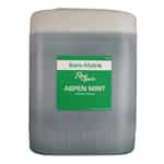 TM144-5 Trans-Mate 5 Gallon Aspen Mint Presoak Foam