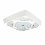 adjustable canopy light