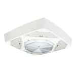 drop lens lighting fixture