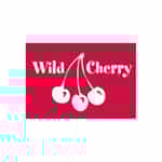 Quick Dry DEC NCS Spritz It! Wild Cherry Overlay, Small