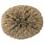 259580 Erie All Arounder Brush