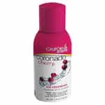 Aerosol Spray Can