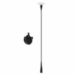 Cluster Pole and Suction Cup