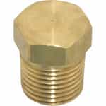 Brass Hex Head Plug