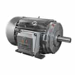 GR3-CI-TF-254T-2-BR-D-15 Techtop Cast-Iron General-Purpose Motor - 15 HP, 3 Phase, 230/460V