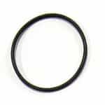 07929 Giant Pump O-Ring - P400 Series