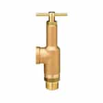 6815G-1/2-300 Spraying Systems Brass Relief Valve