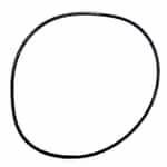 Sta-Rite 111P0490 OEM Replacement O-Ring