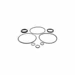 Motor Seals