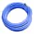 Blue WB Hose By Foot
