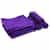 Purple Ultra-45 Microfiber Express Wash Exterior Towel