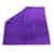 Purple Ultra-45 Microfiber Express Wash Exterior Towel