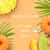 Febreze Tropical Beach Auto Vent Clips
