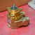 brass rotary vane pump