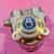 brass rotary vane pump with viton