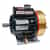 D10XKBTHFECA Hydra-Cell D-10 Series Brass Head Pump