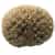 259580 Erie All Arounder Brush