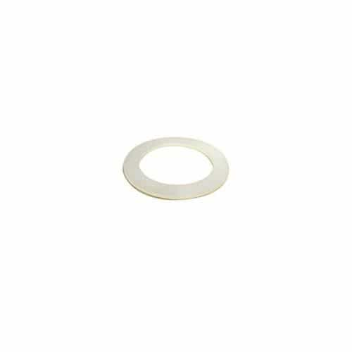 PTFE Washer